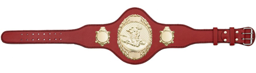 MMA CHAMPIONSHIP BELT-PLT286/G/MMAG-4 COLOURS MMA CHAMPIONSHIP BELT-PLT286/G/MMAG-4 COLOURS